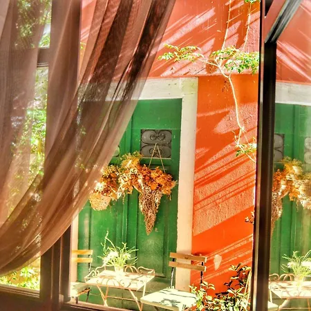 Eleven * ロヴィニ